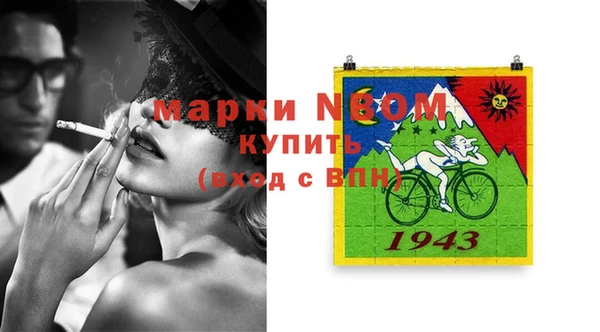 дмт Богданович