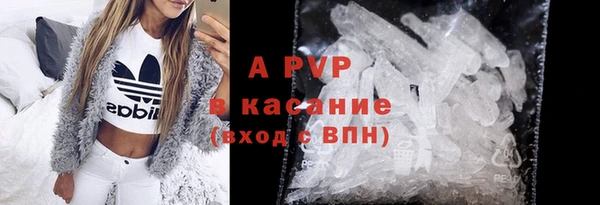 дмт Богданович