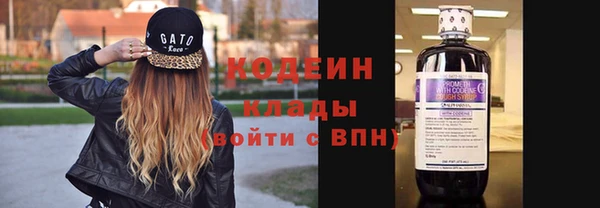 дмт Богданович