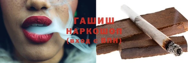дмт Богданович