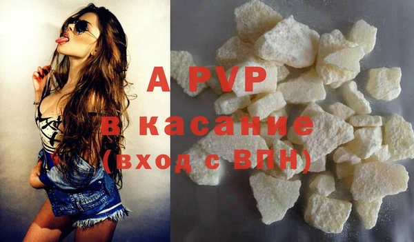 дмт Богданович