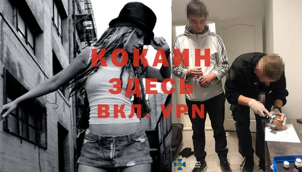 дмт Богданович