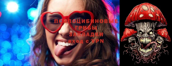 дмт Богданович