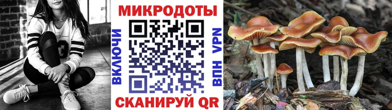 Псилоцибиновые грибы прущие грибы  Яранск 